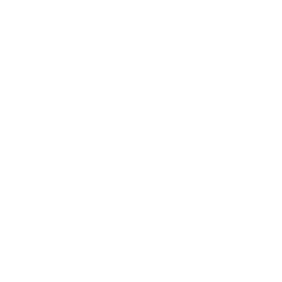 Speed of Capital Transfer